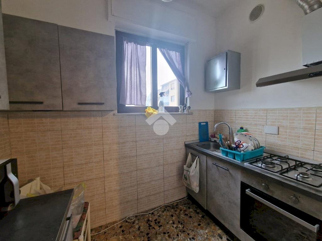 immagine annuncio 2 di 7