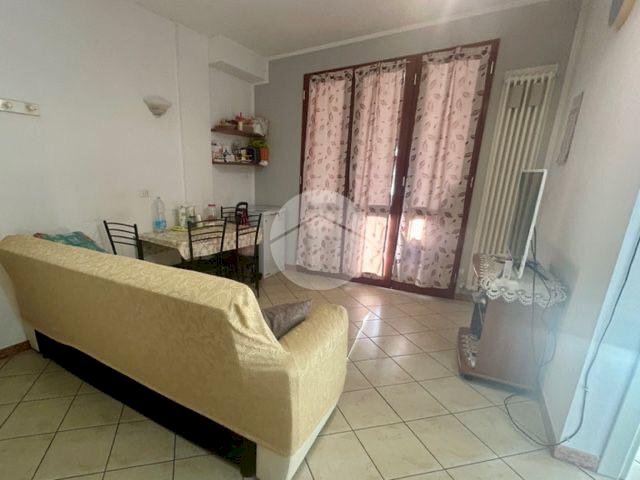 immagine annuncio 1 di 14