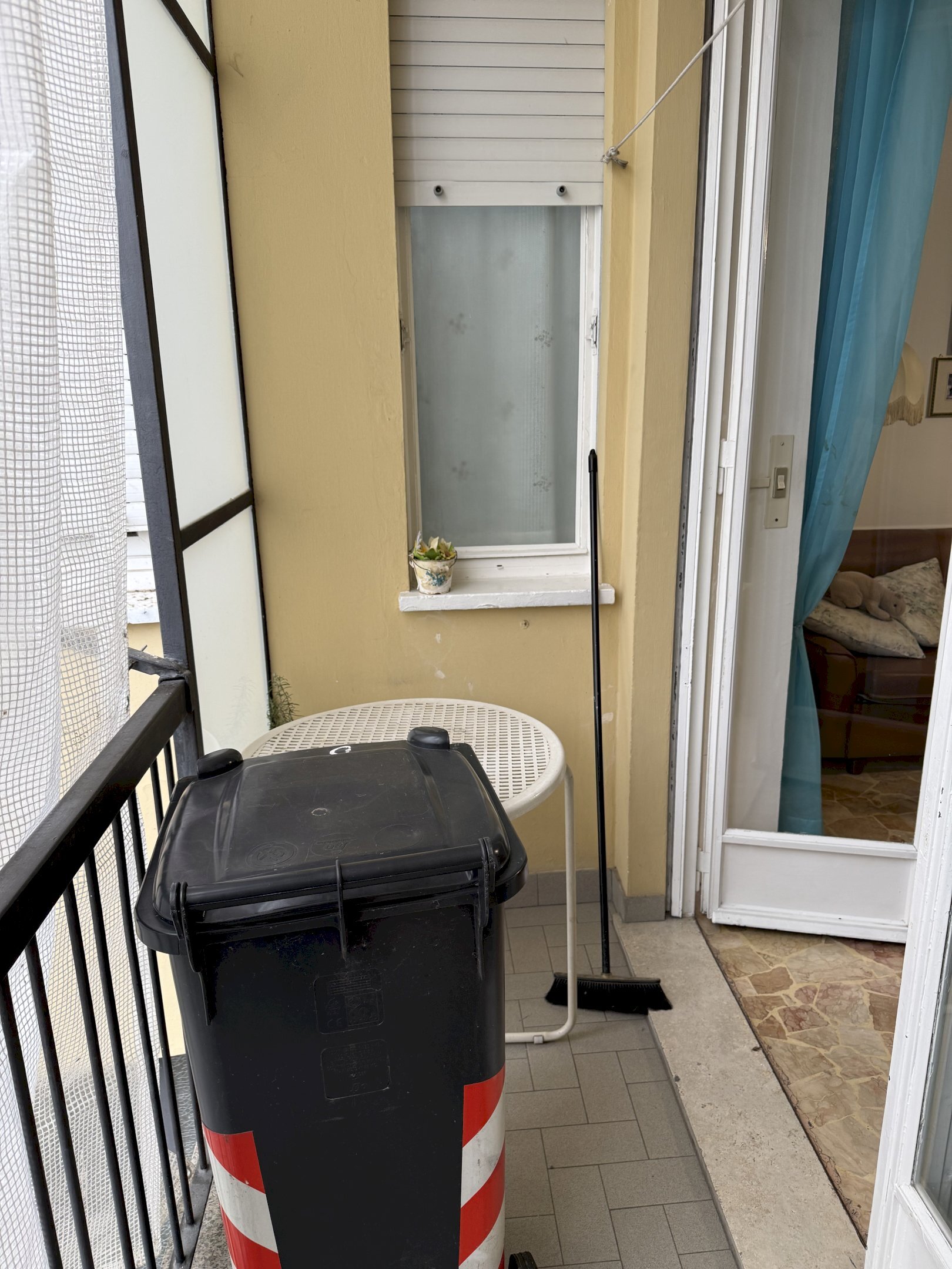 immagine annuncio 7 di 13