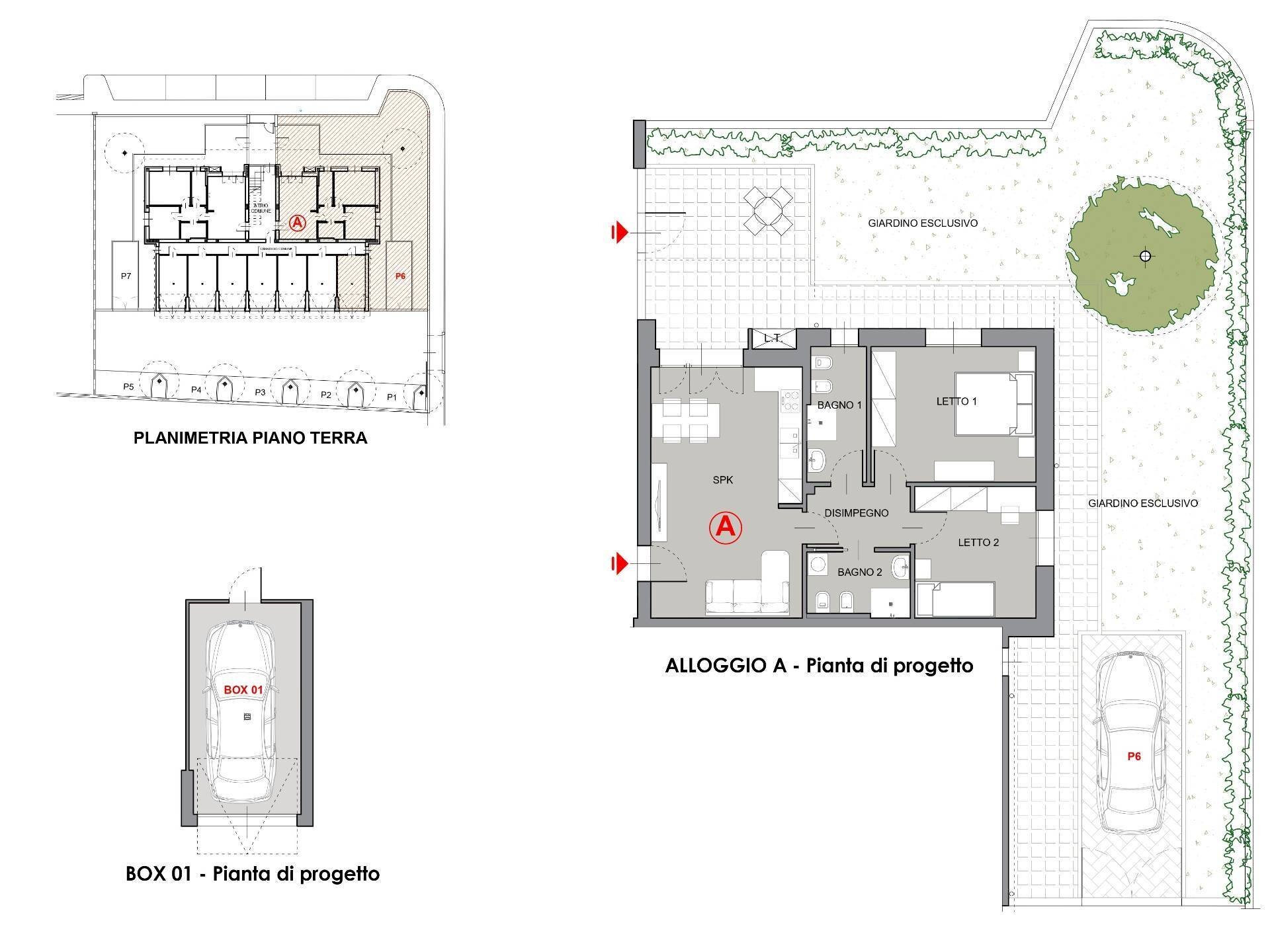 immagine annuncio 2 di 15