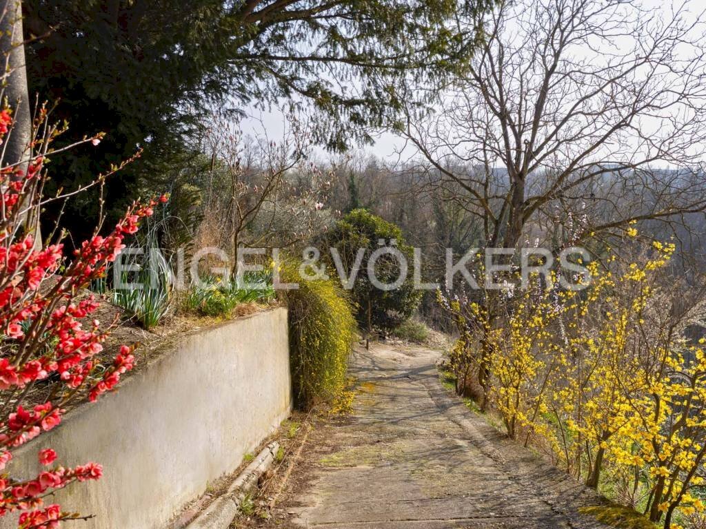 immagine annuncio 5 di 11