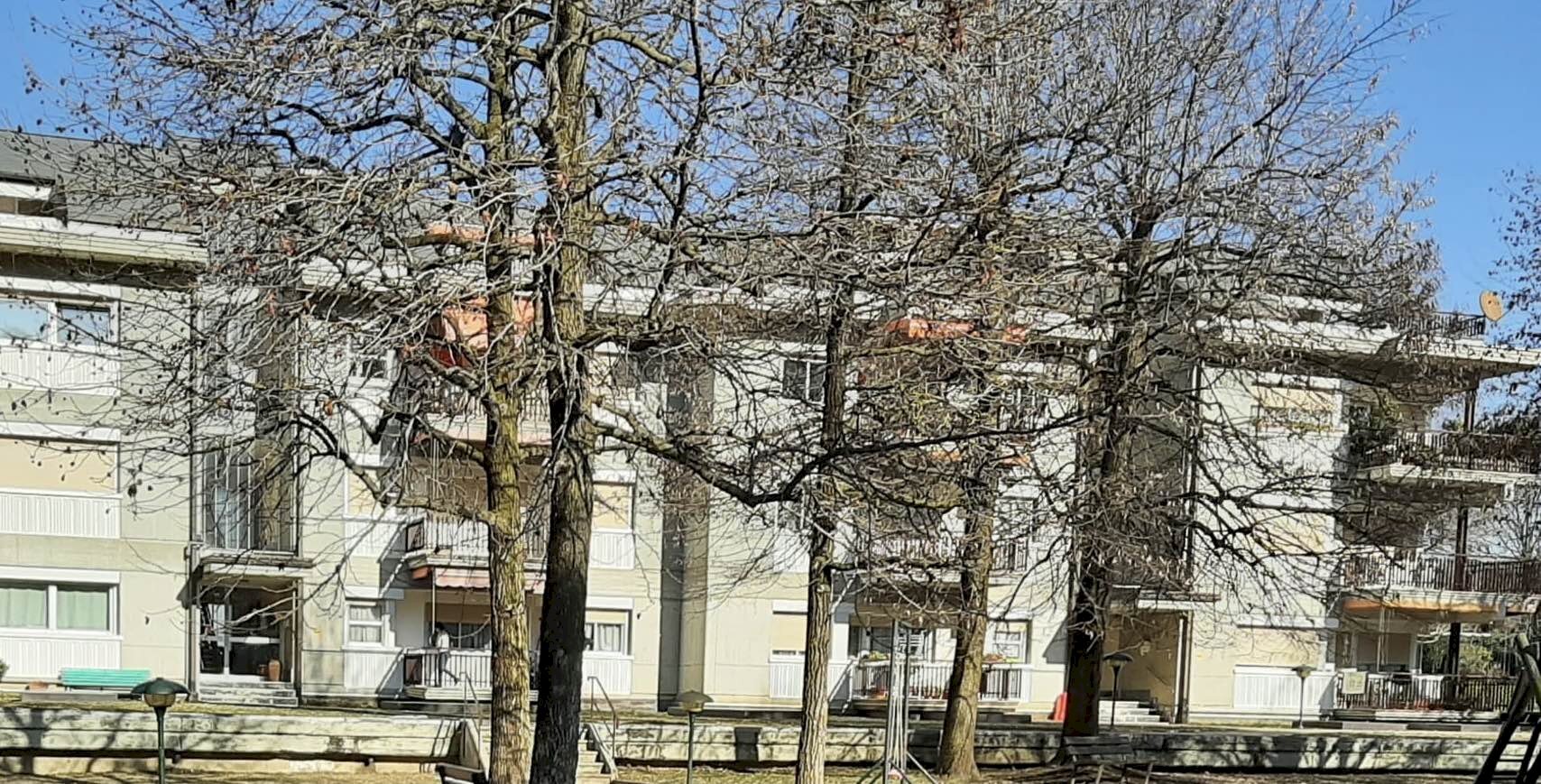 immagine annuncio 2 di 8