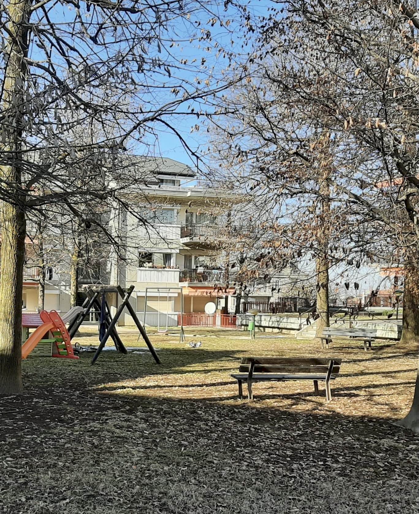 immagine annuncio 3 di 8