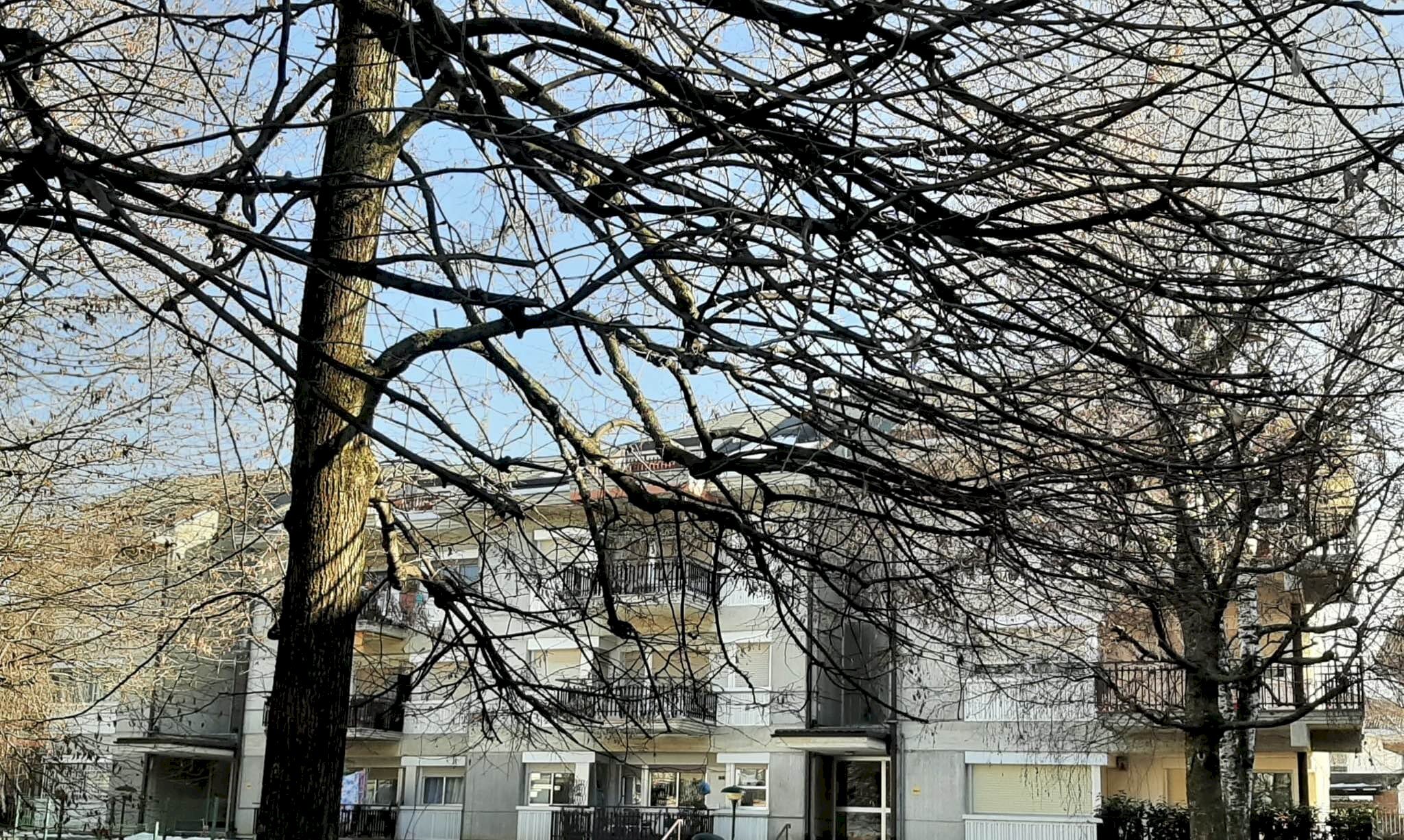 immagine annuncio 6 di 8