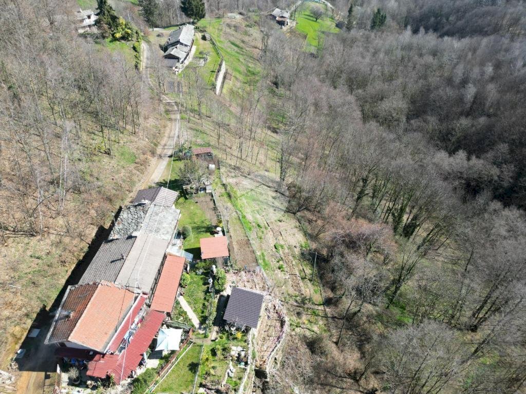 immagine annuncio 4 di 12