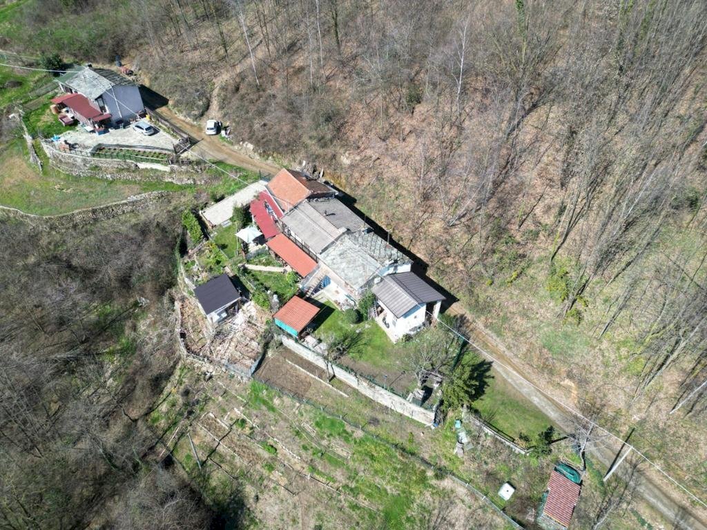 immagine annuncio 5 di 12