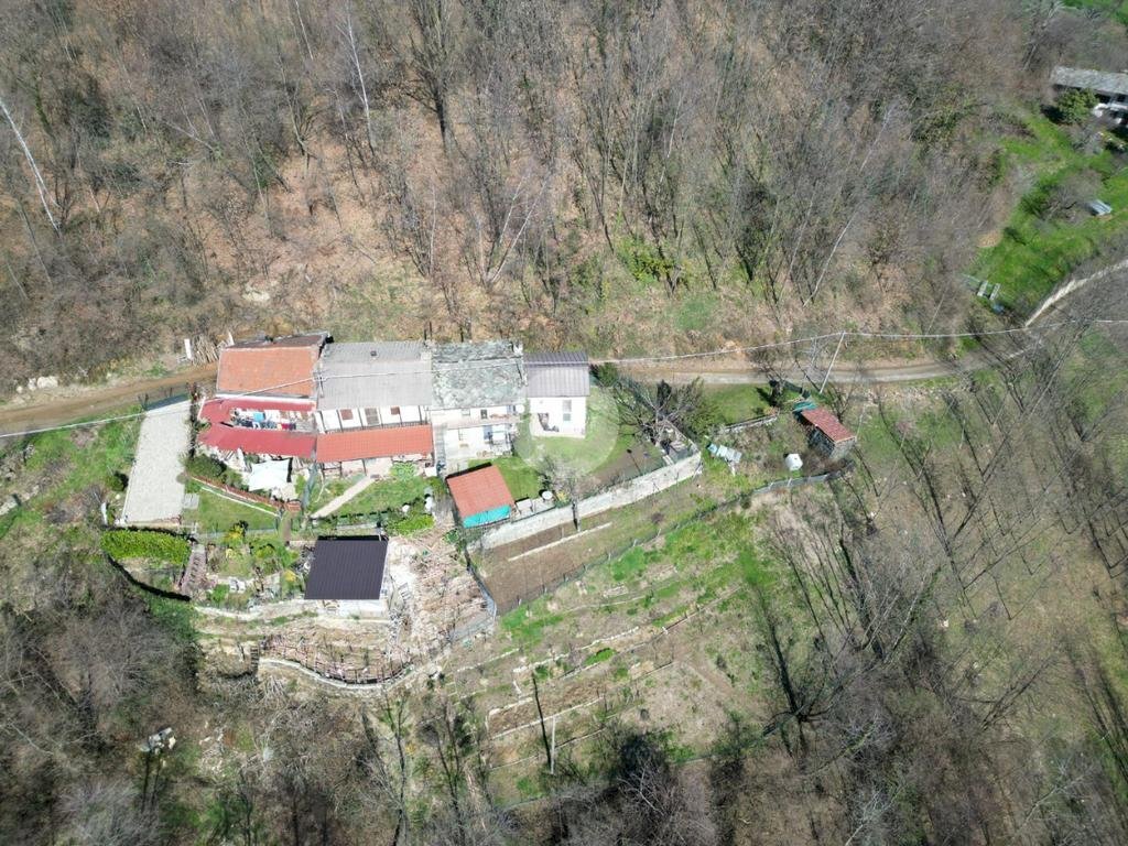 immagine annuncio 8 di 12