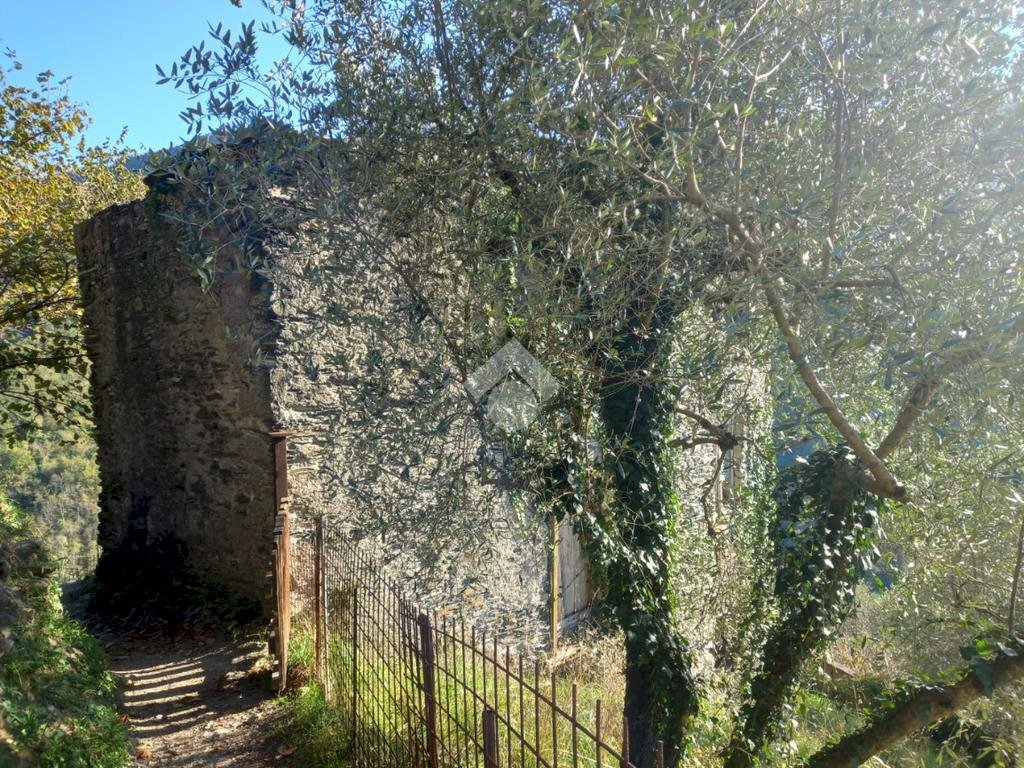 immagine annuncio 2 di 7