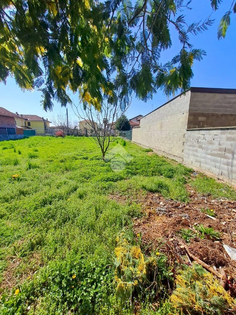 immagine annuncio 4 di 8