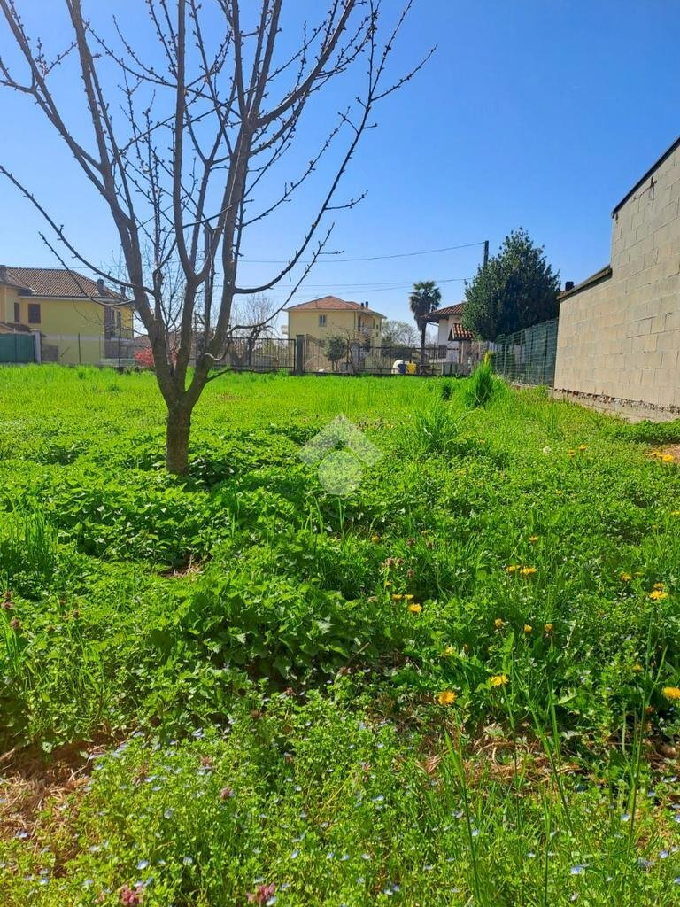 immagine annuncio 6 di 8