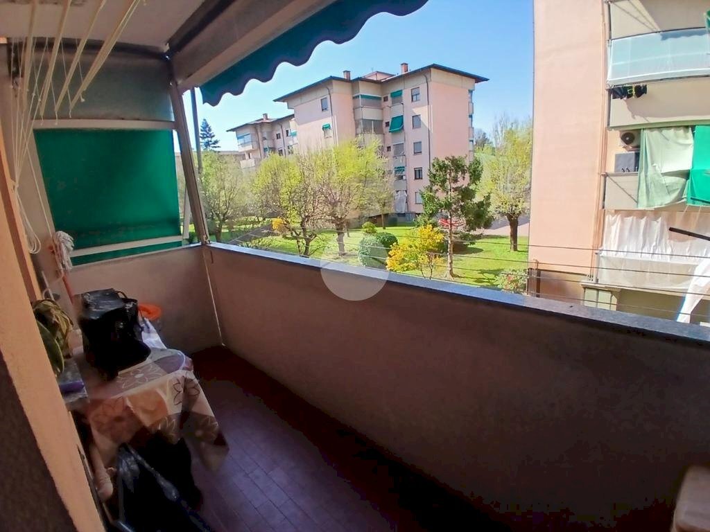 immagine annuncio 9 di 15