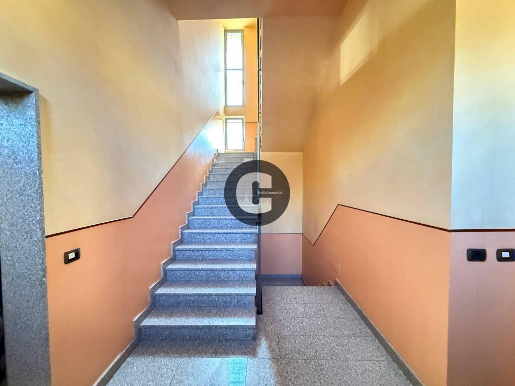 immagine annuncio 5 di 6