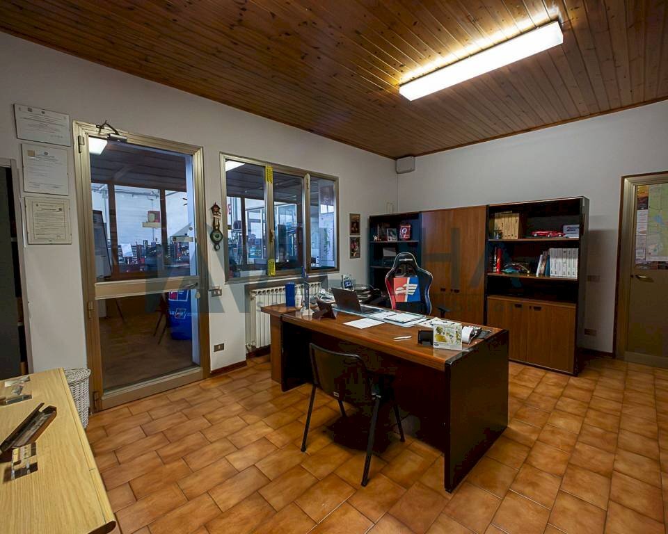 immagine annuncio 6 di 15