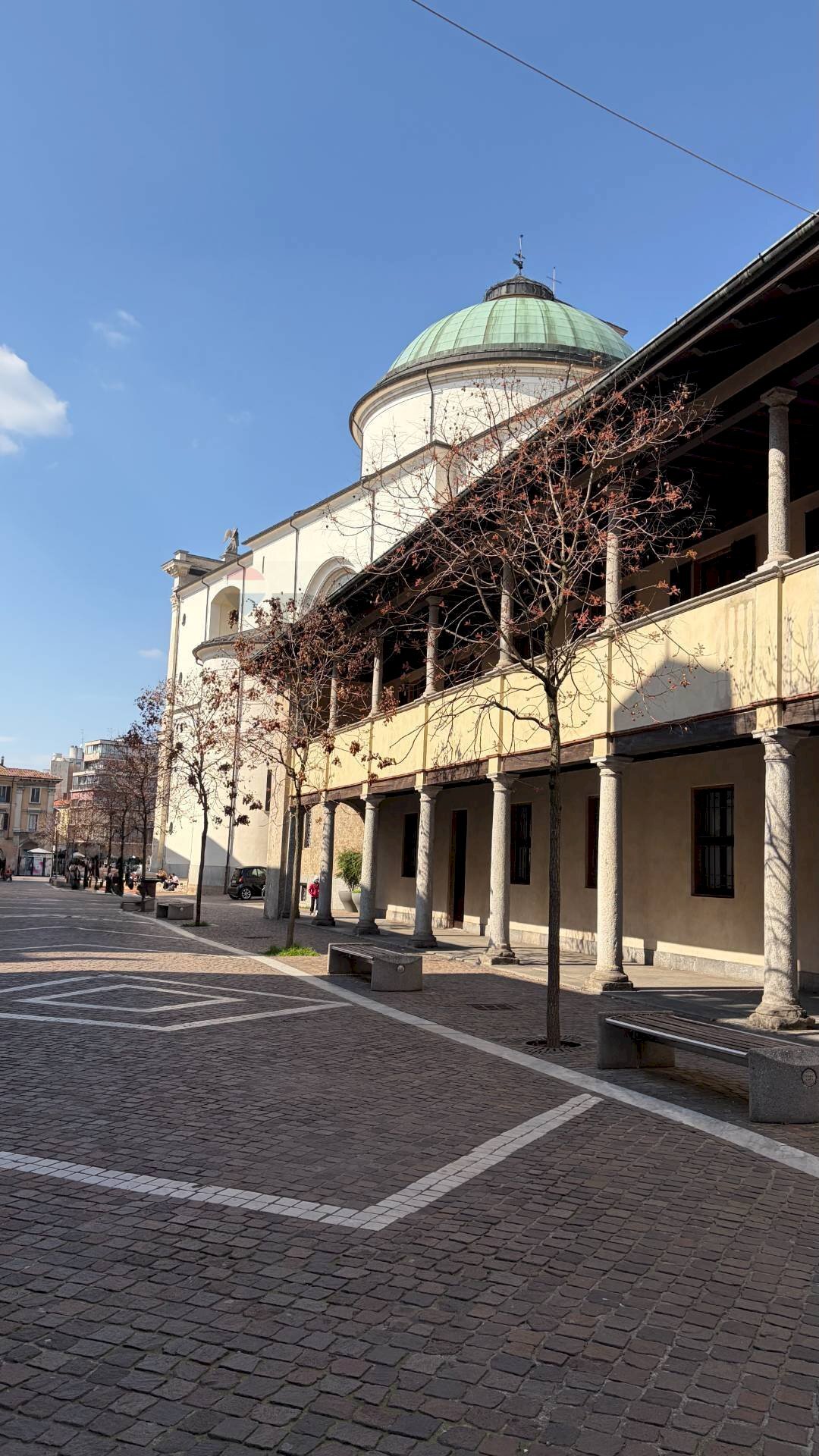 immagine annuncio 9 di 14