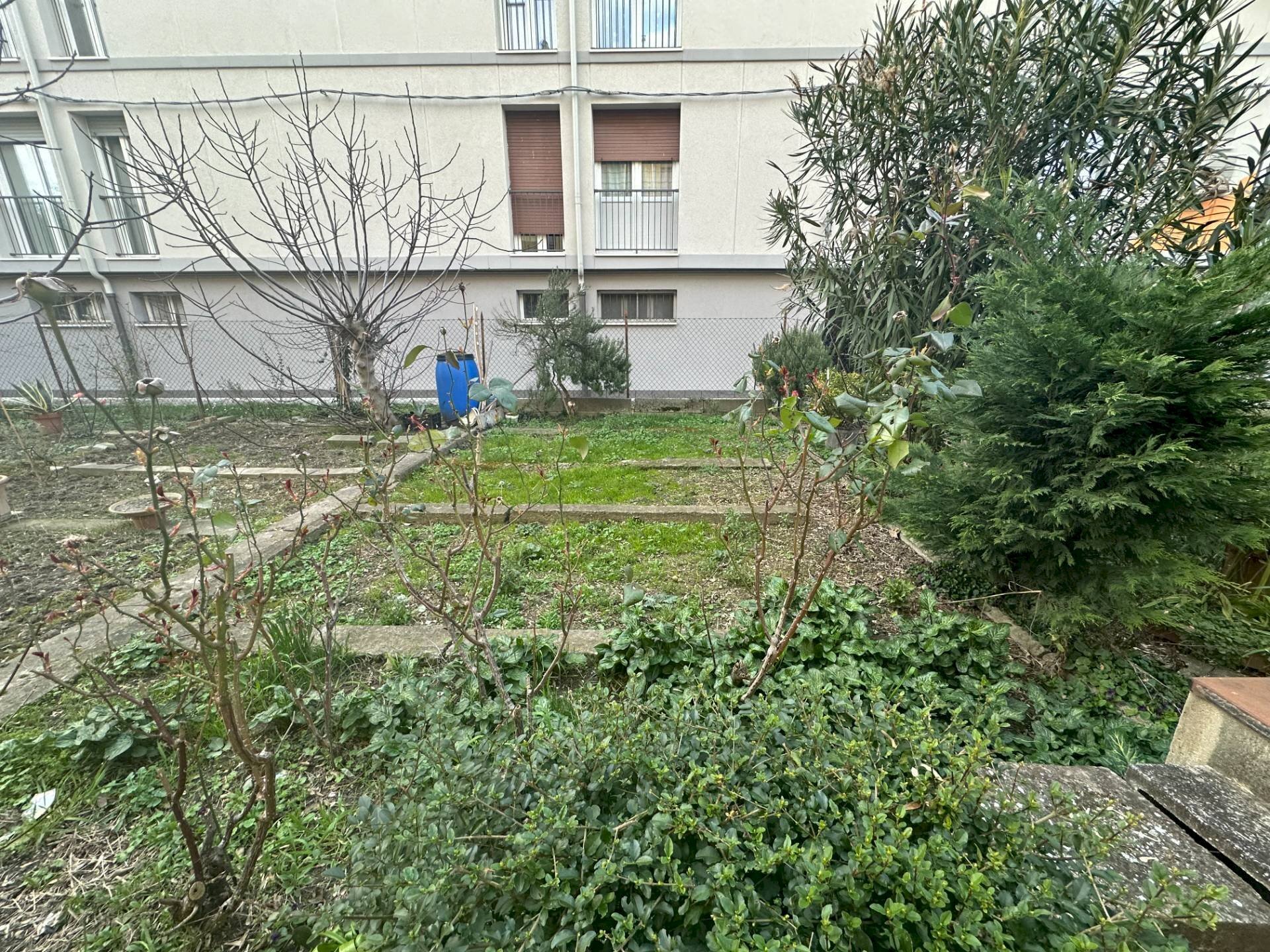 immagine annuncio 13 di 14