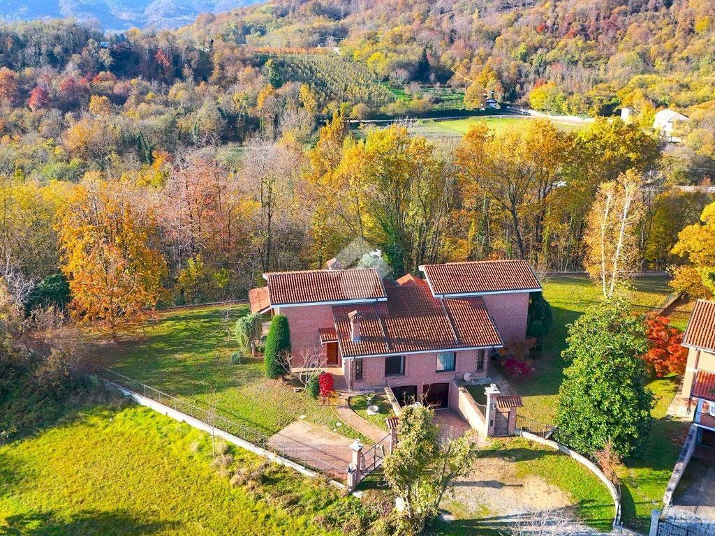 immagine annuncio 3 di 6