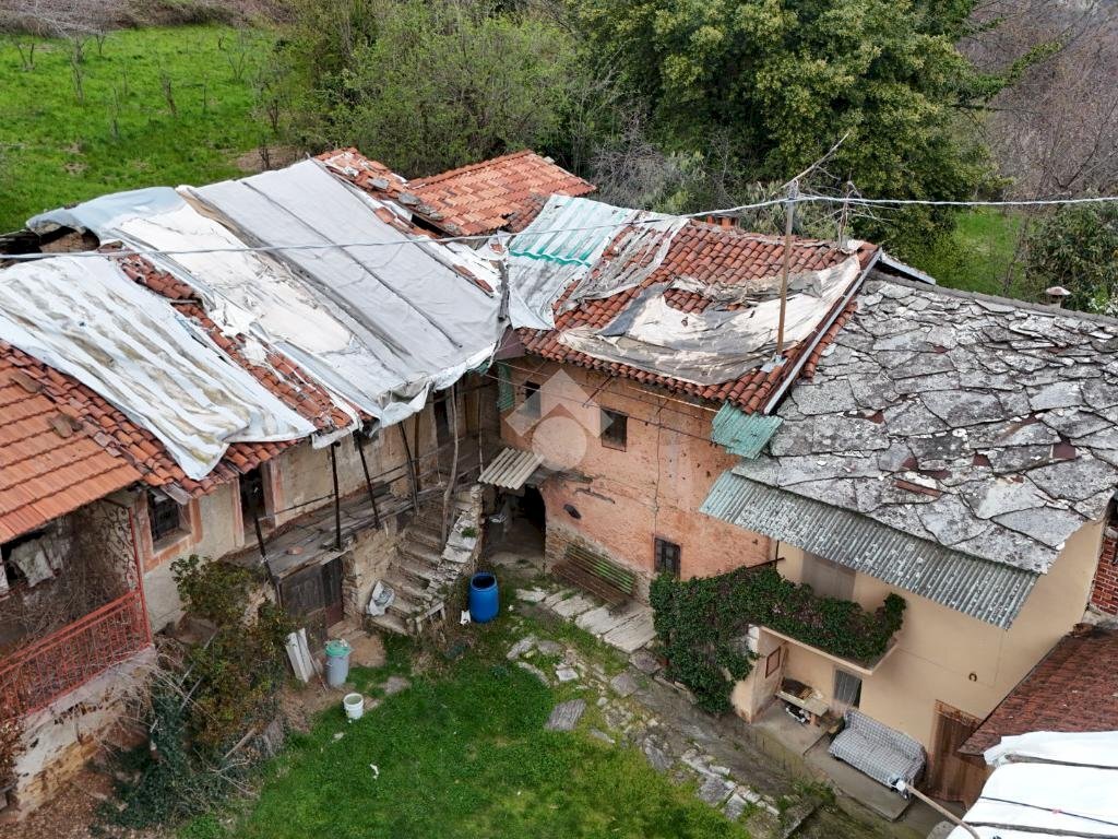 immagine annuncio 4 di 14