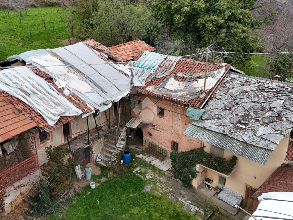 immagine annuncio 11 di 14