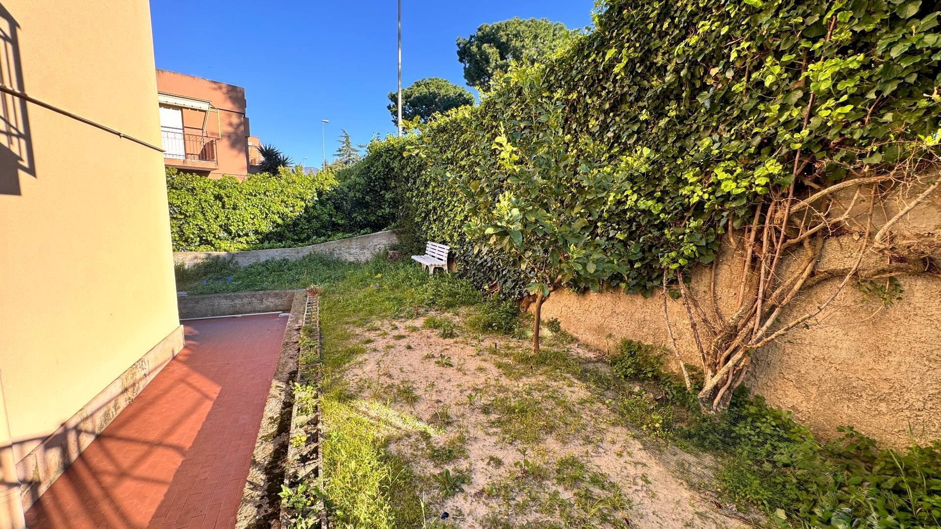 immagine annuncio 2 di 13