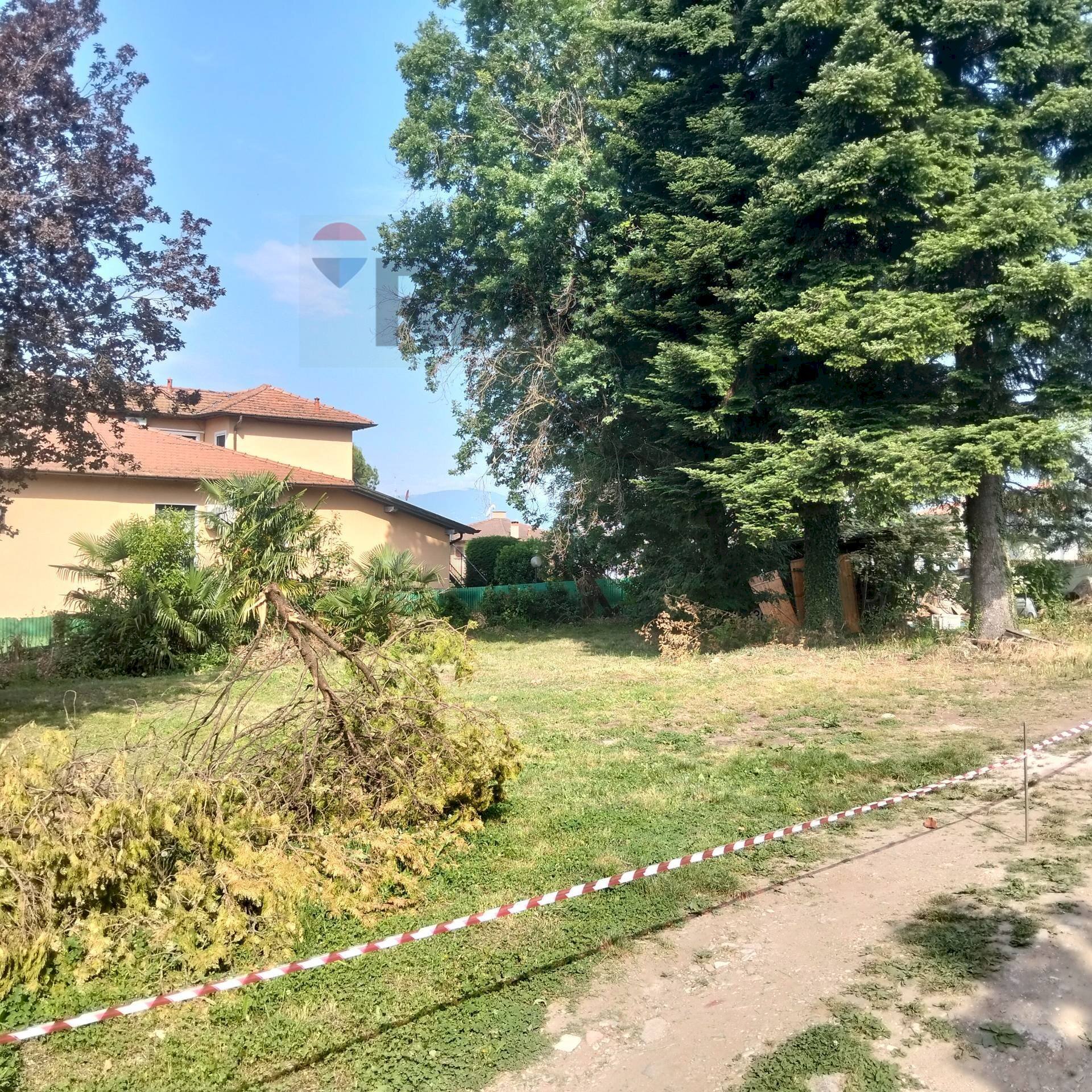immagine annuncio 11 di 12