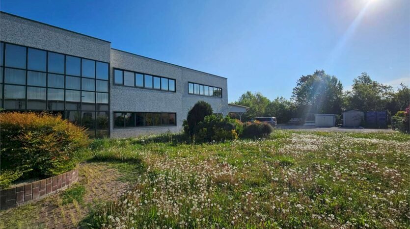 immagine annuncio 3 di 15