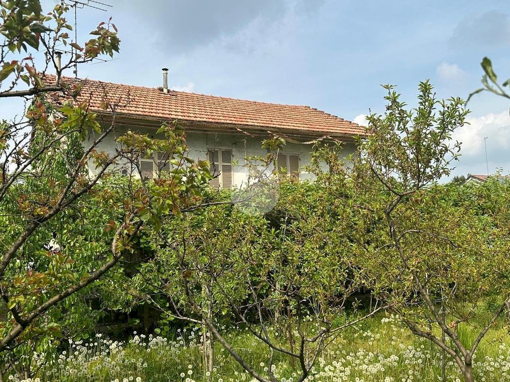 immagine annuncio 5 di 11
