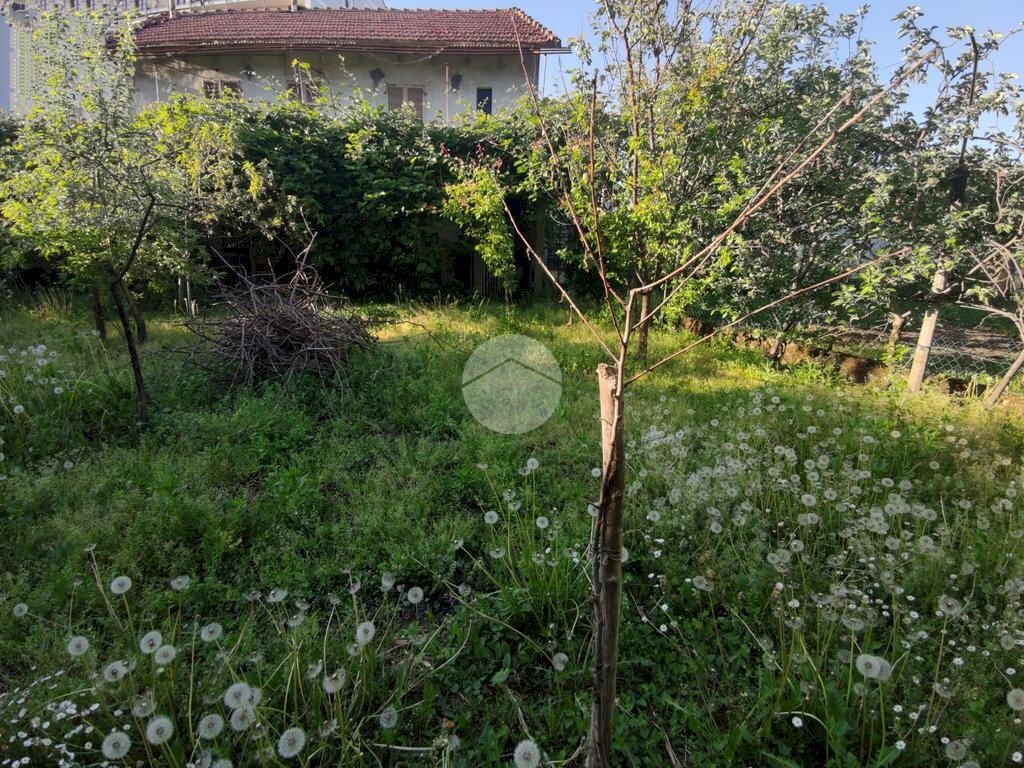 immagine annuncio 8 di 11