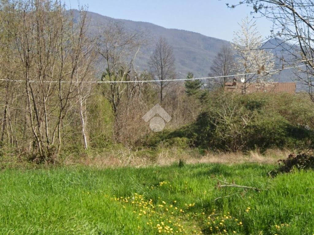 immagine annuncio 6 di 8