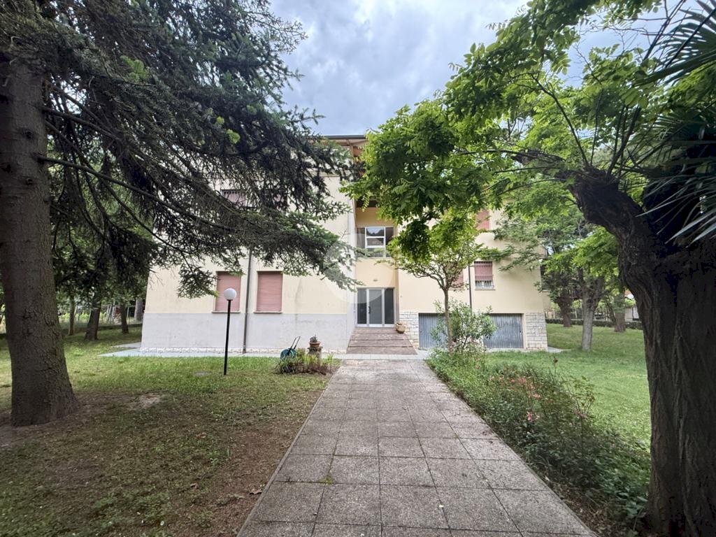 immagine annuncio 7 di 14