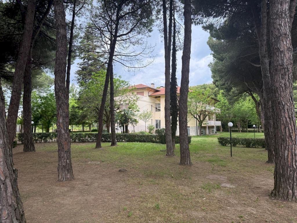 immagine annuncio 10 di 14