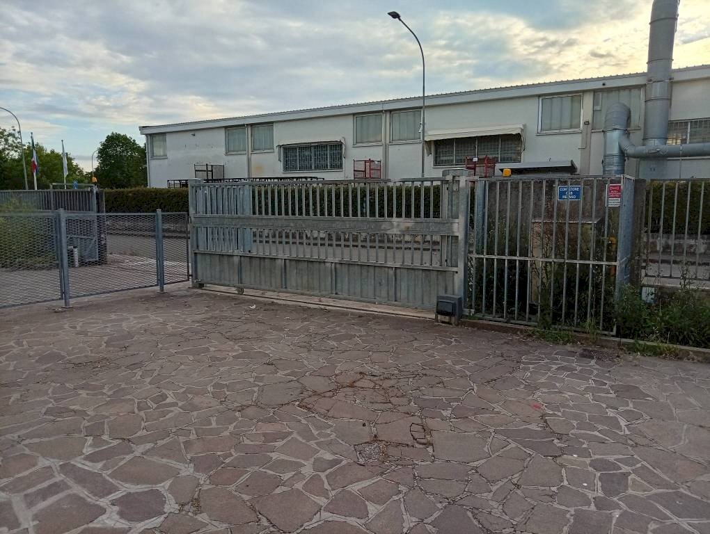 immagine annuncio 9 di 12