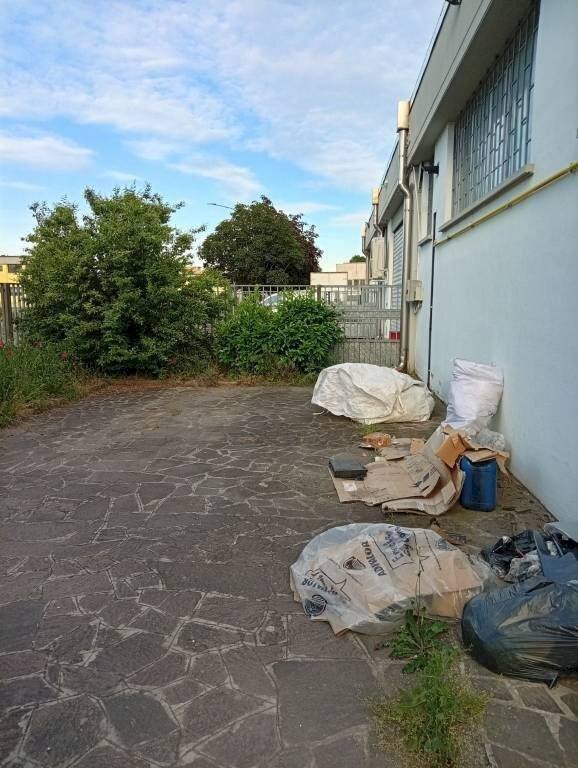 immagine annuncio 10 di 12