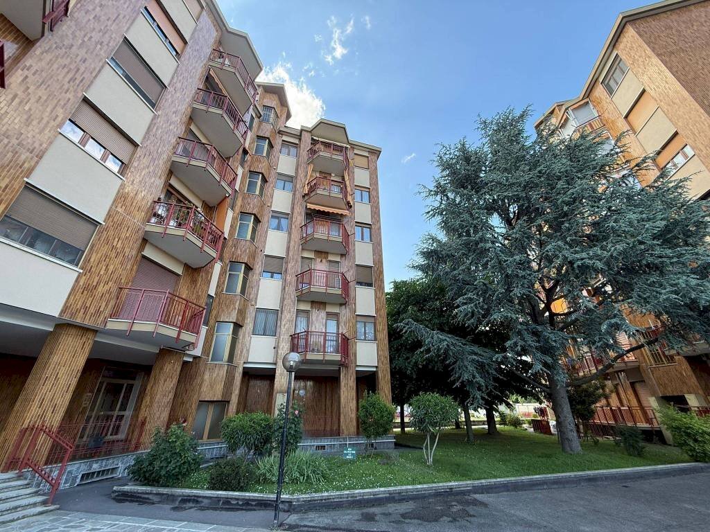 immagine annuncio 3 di 15