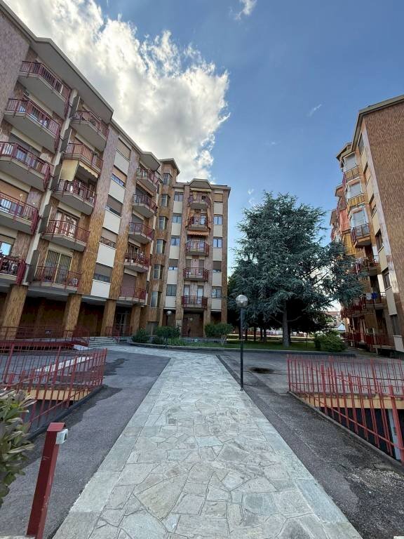 immagine annuncio 5 di 15