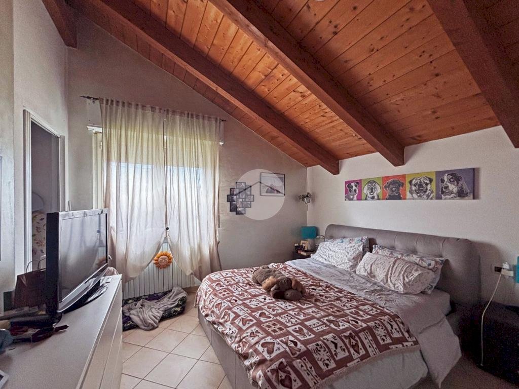 immagine annuncio 5 di 14