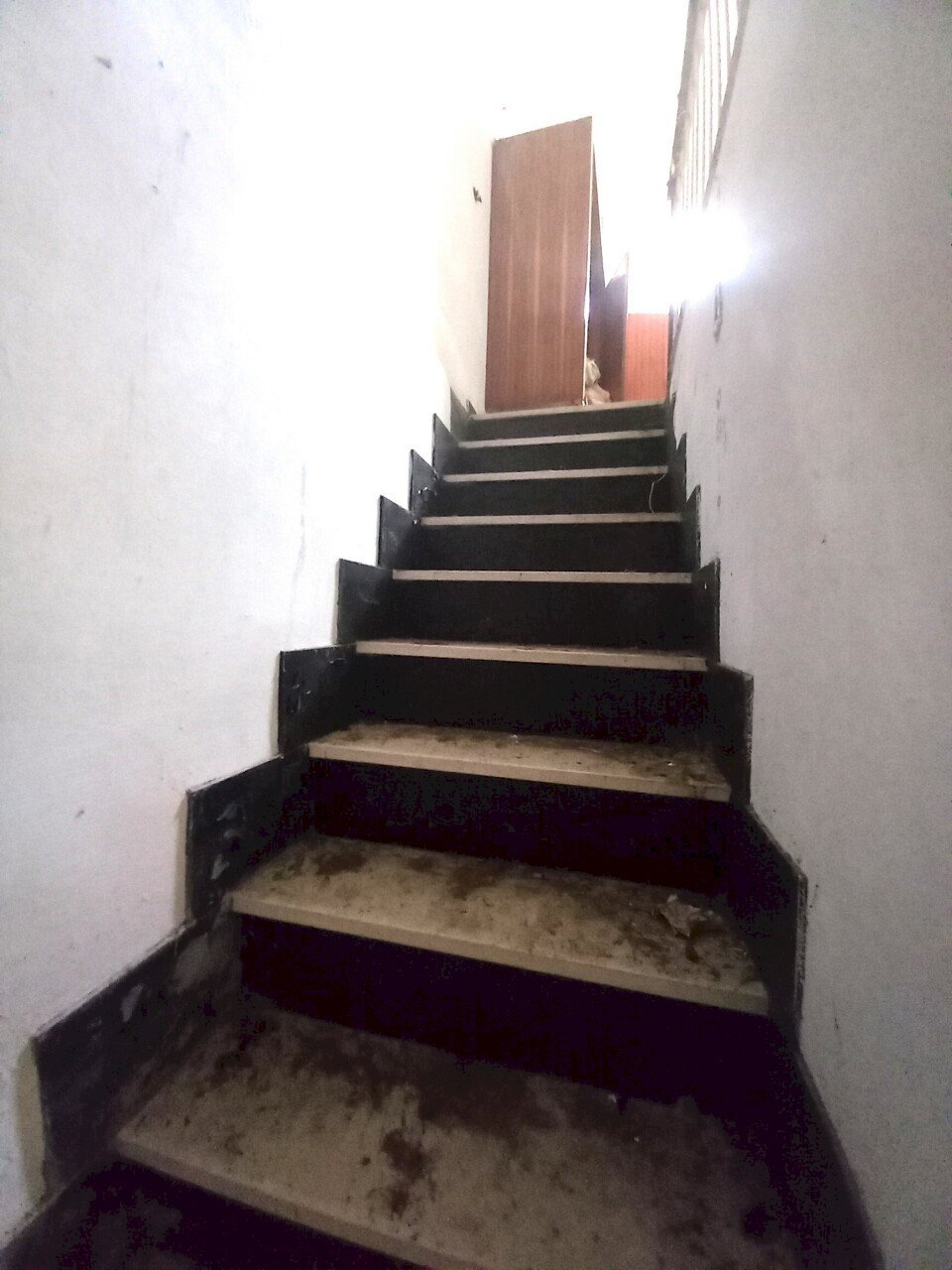 immagine annuncio 11 di 14