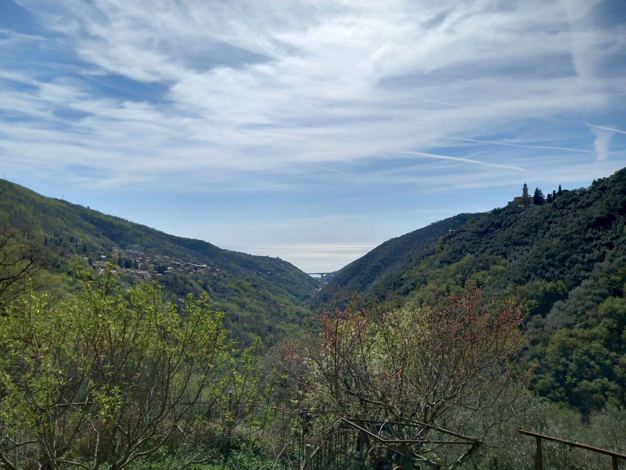 immagine annuncio 12 di 14
