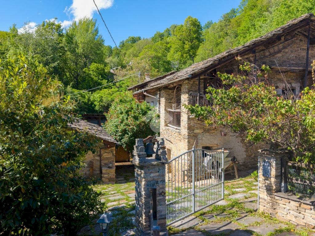 immagine annuncio 3 di 12