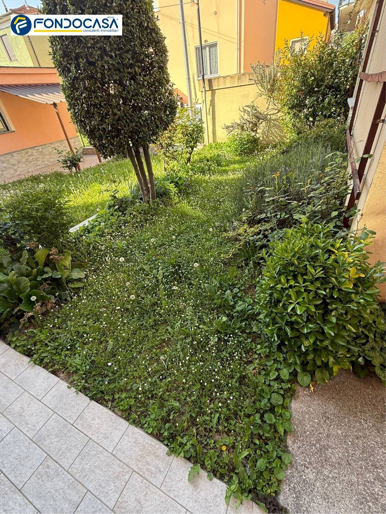immagine annuncio 9 di 13