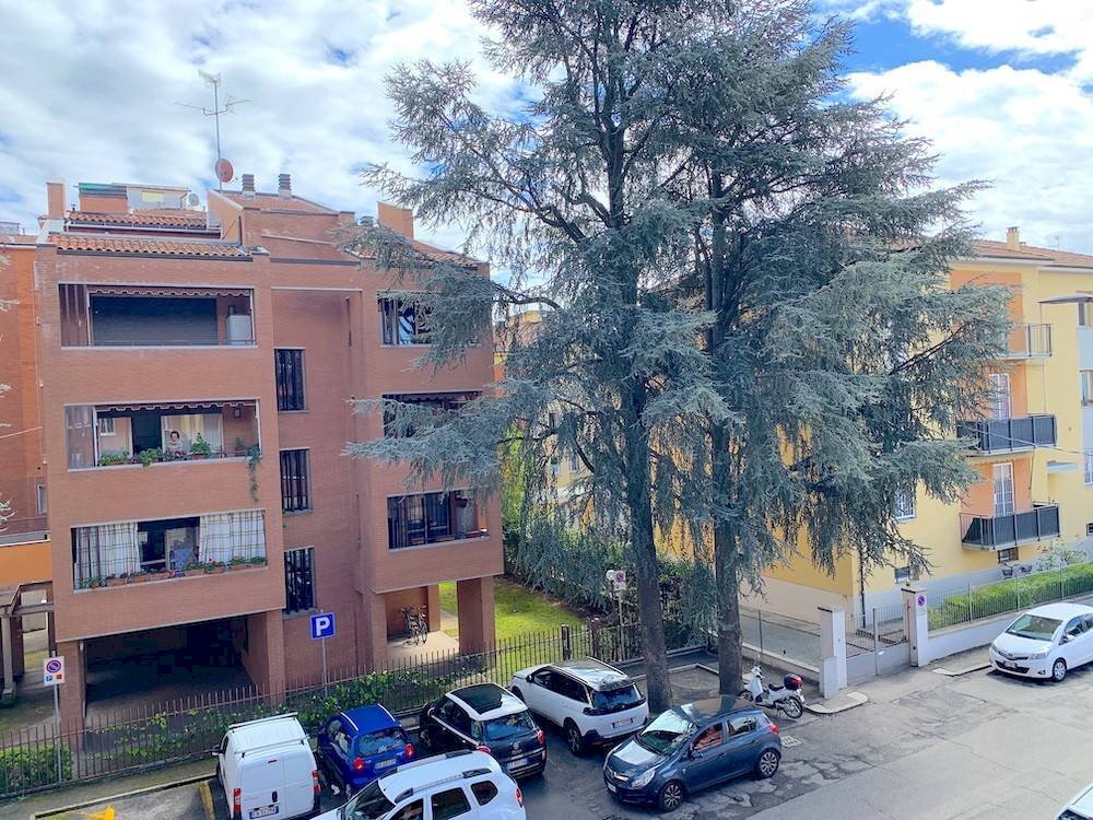 immagine annuncio 4 di 14