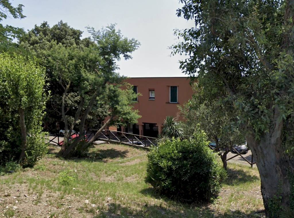 immagine annuncio 2 di 6