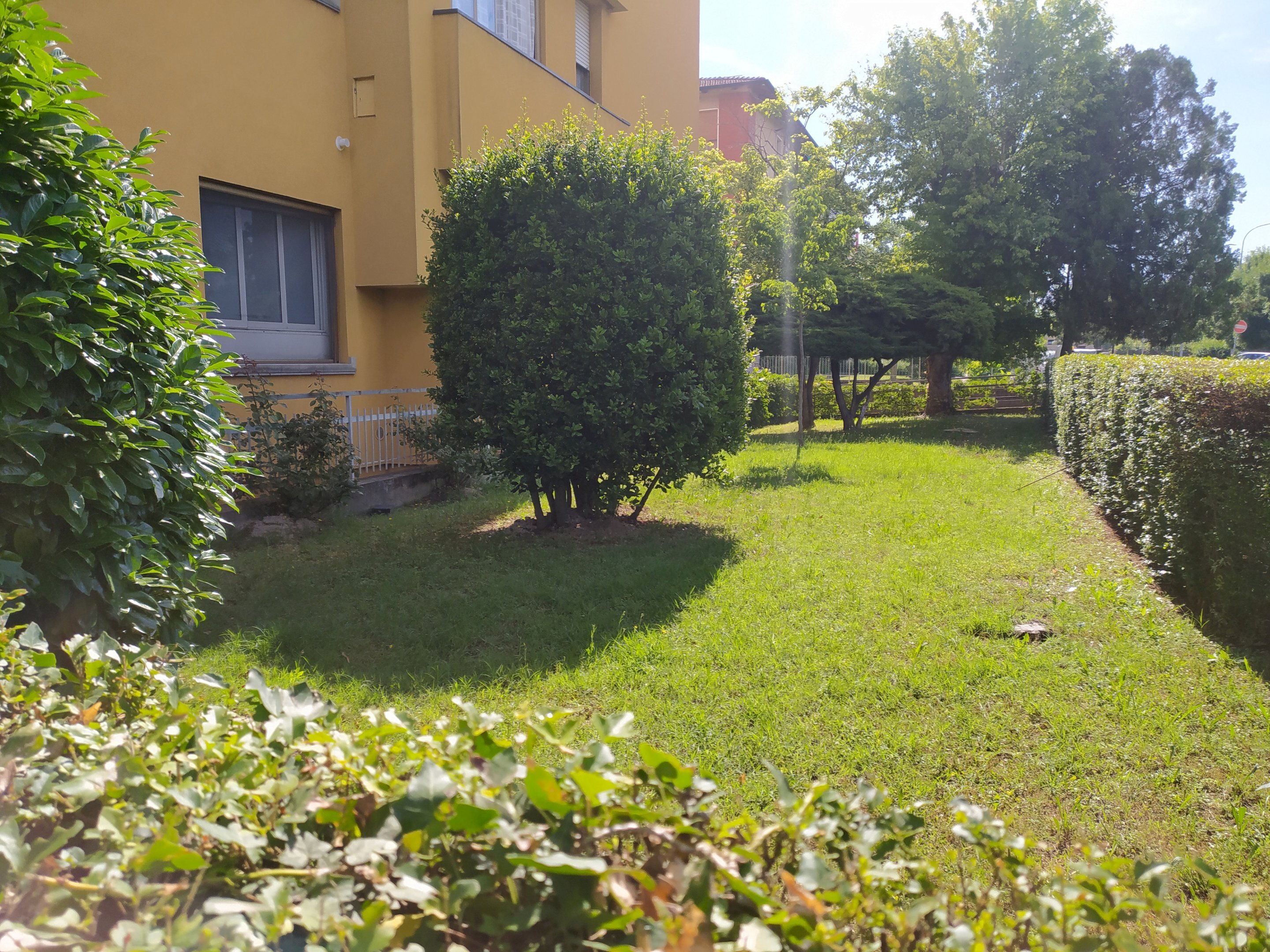 immagine annuncio 3 di 6
