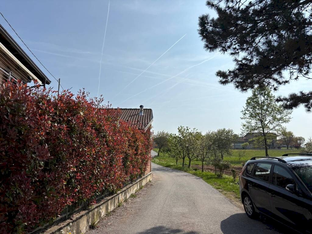 immagine annuncio 9 di 14