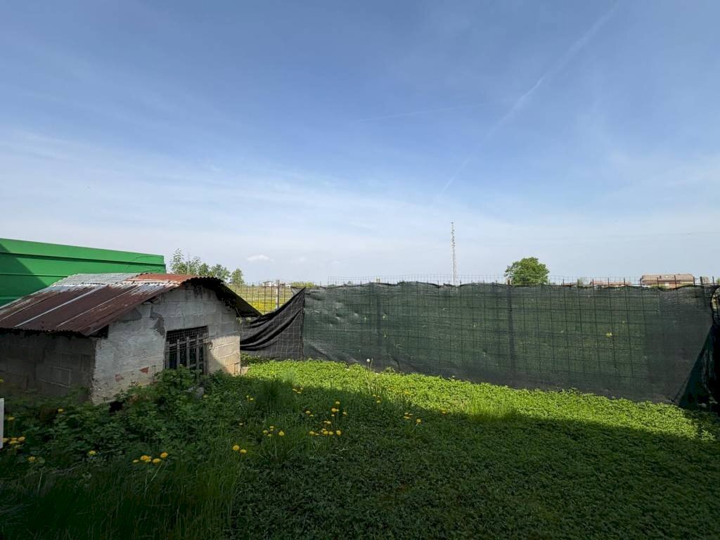 immagine annuncio 10 di 14