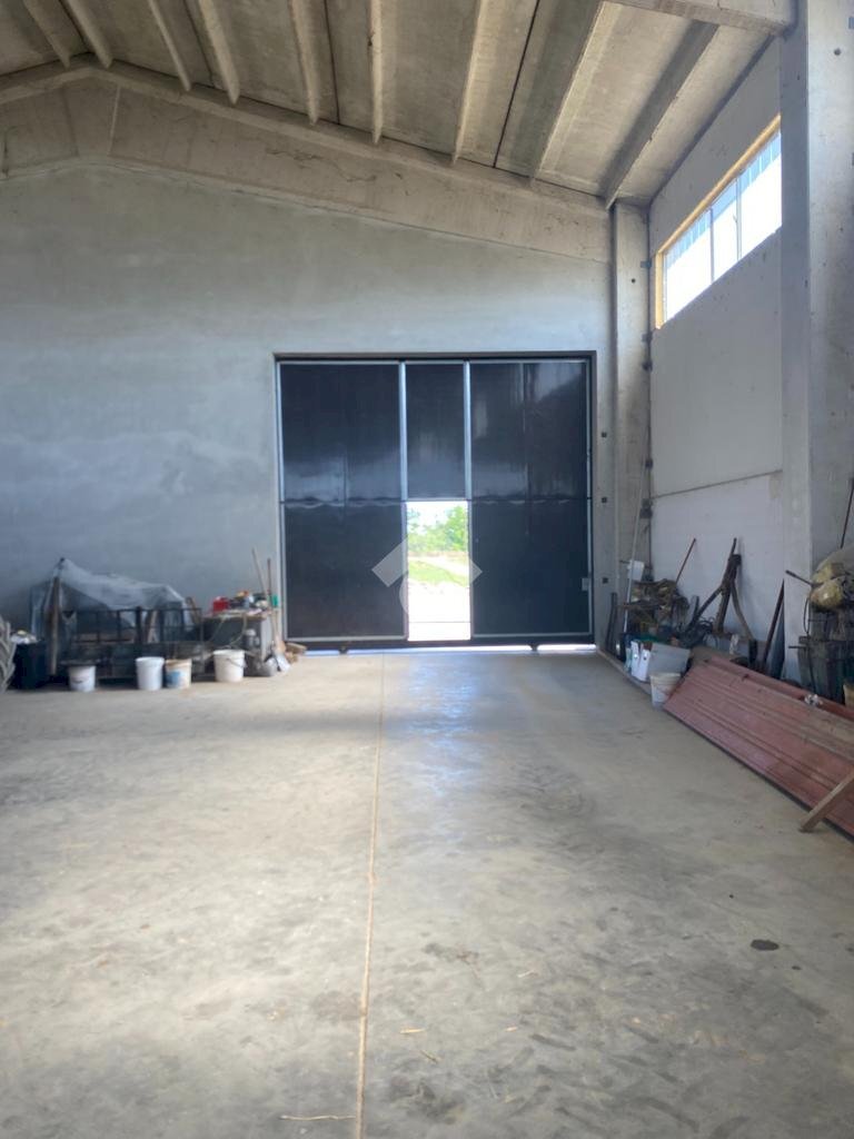 immagine annuncio 5 di 8