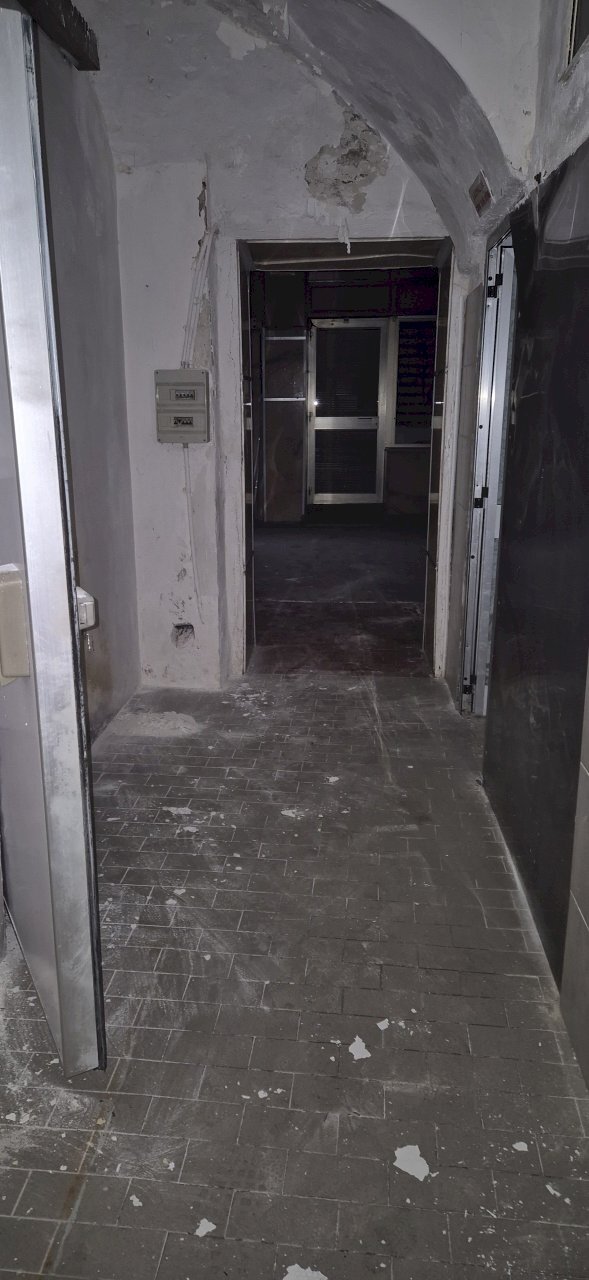 immagine annuncio 9 di 14