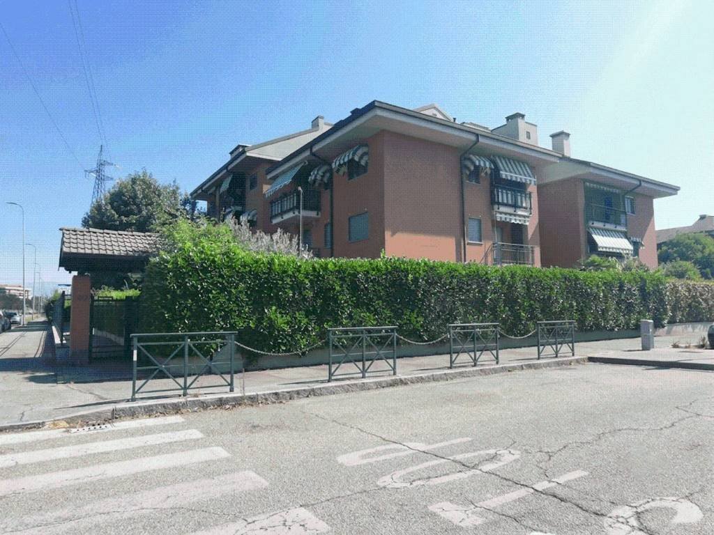 immagine annuncio 1 di 15