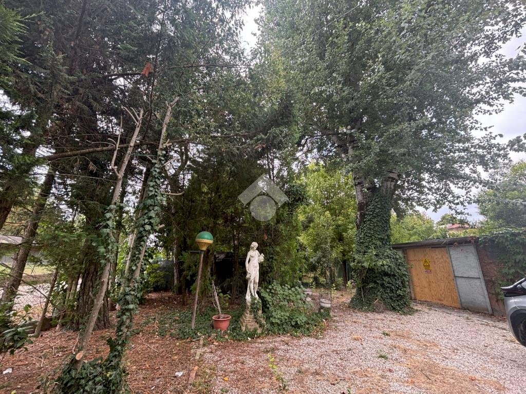 immagine annuncio 7 di 12