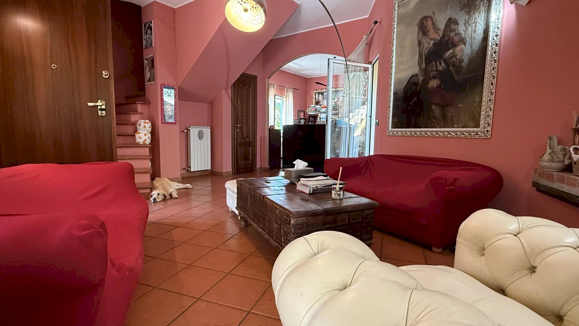 immagine annuncio 6 di 15