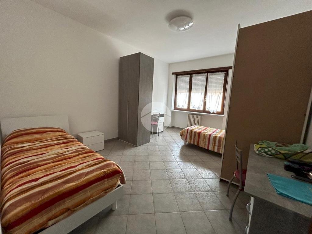immagine annuncio 11 di 14